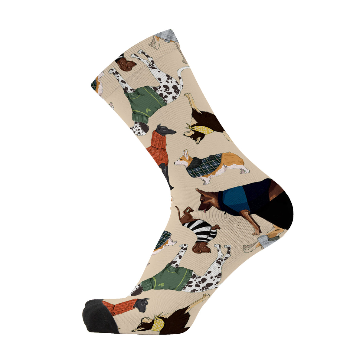 Raining Cats and Dogs Bamboo Sock Gift Box