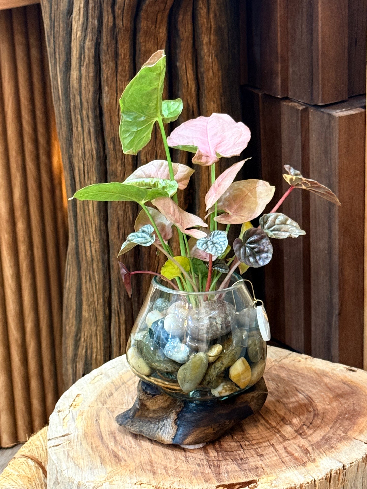 Little Water Garden - Small