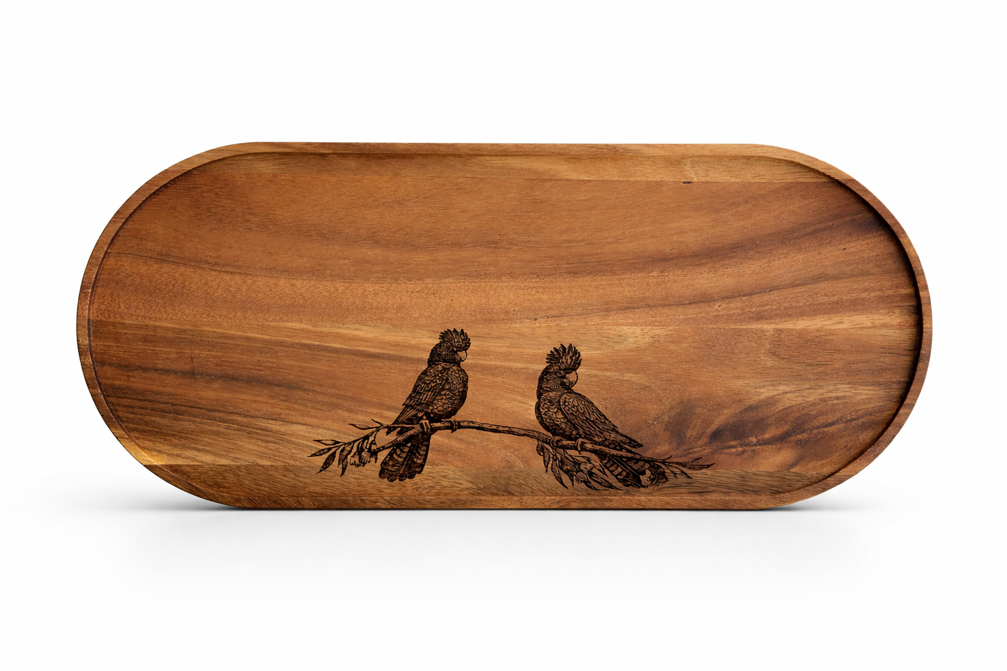 bird board