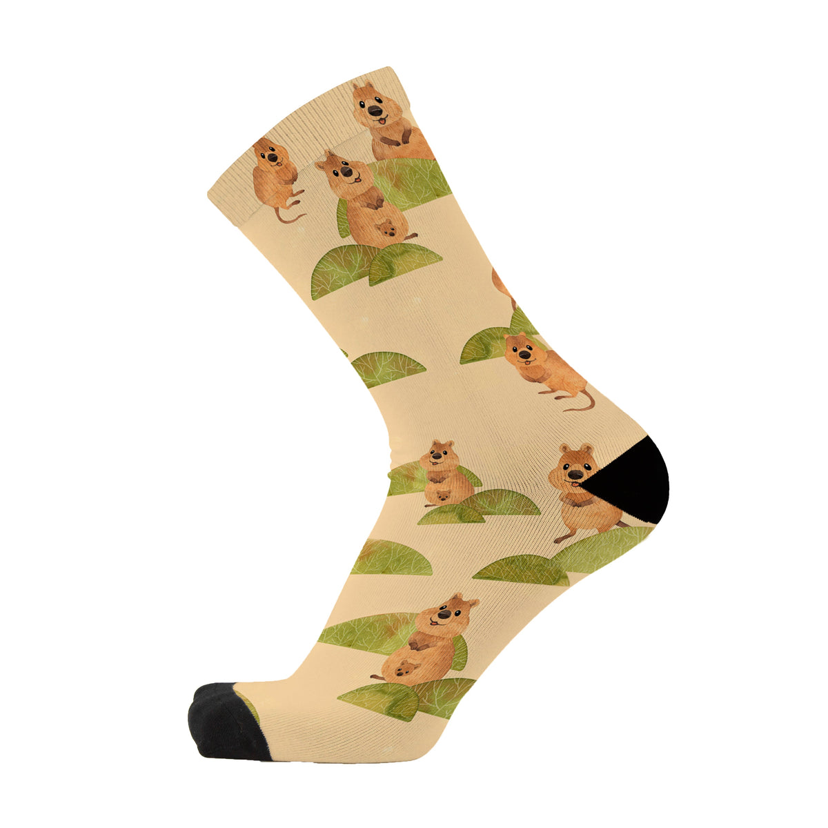 Colourful bamboo socks featuring Quokkas on a light brown background.