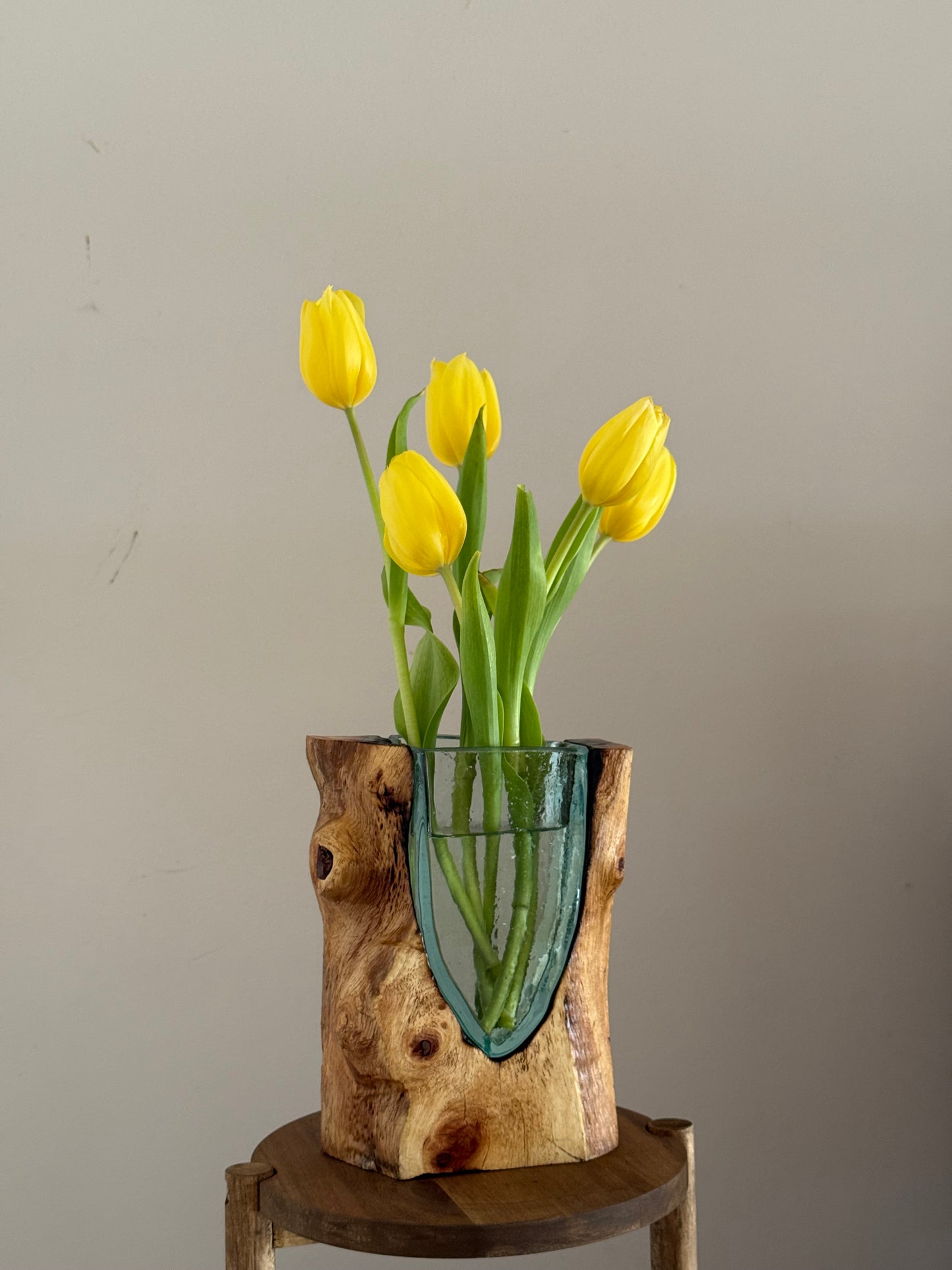 Curved Glass Vase with Timber Base