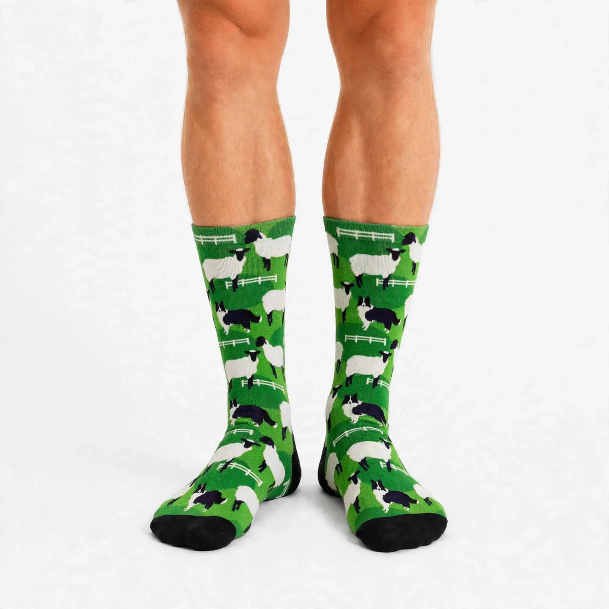 Border Collie Sheep Dog Socks