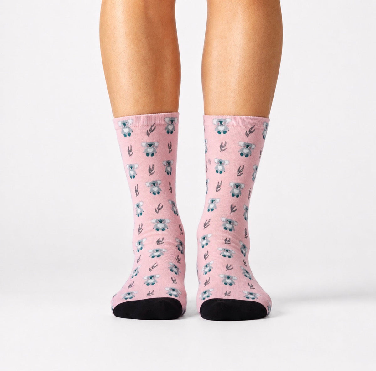 Koala Cuddle Socks