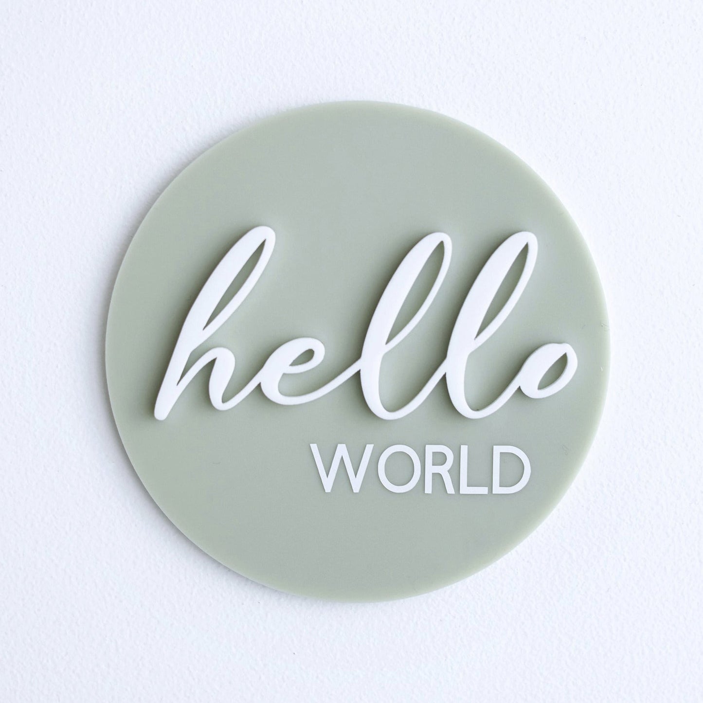 Ollie and Ech- Hello World Sage Announcement Disc