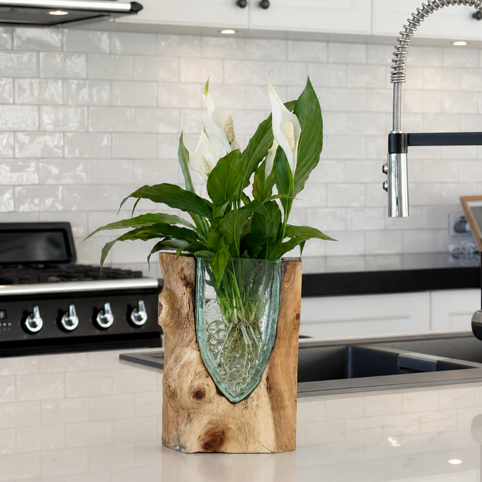 Plants & Garden