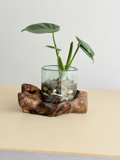 Glass Square Vase on Timber Base