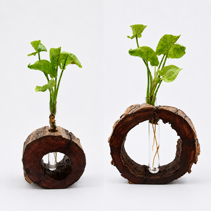 Natural Timber Planter