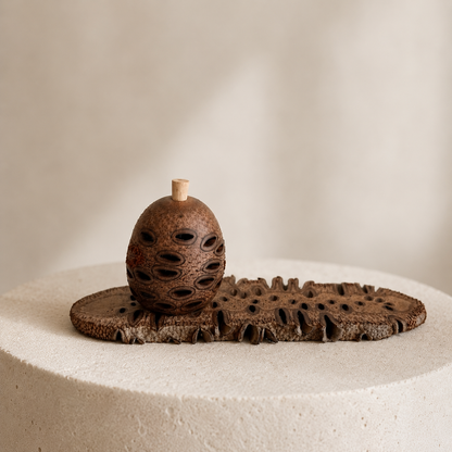 Banksia pod oil diffuser