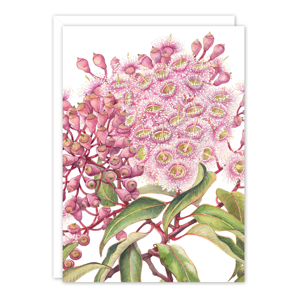 Pink Gum A6 card by Philippa Nikulinsky