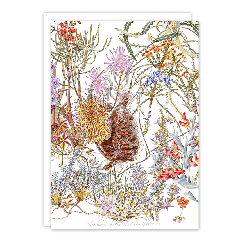 Wildflowers of the Northern Heathland A6 card by Philippa Nikulinsky