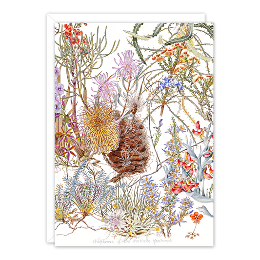 Wildflowers of the Northern Heathland A6 card by Philippa Nikulinsky