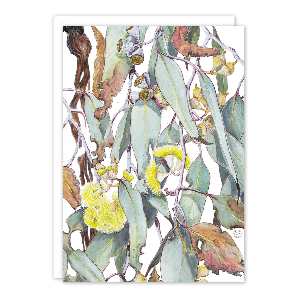 Eucalyptus woodwardii A6 card by Philippa Nikulinsky