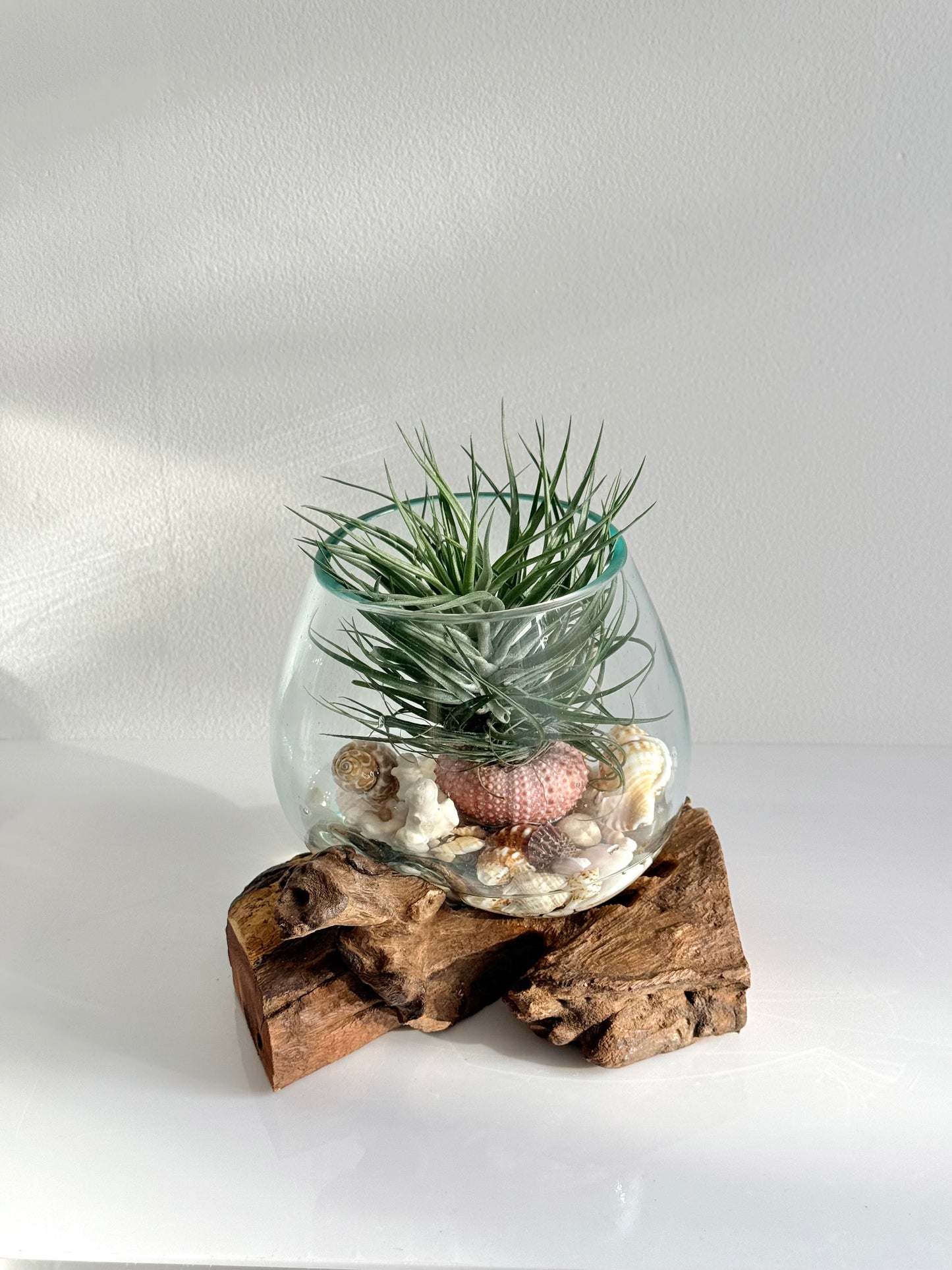 Little Water Garden - Small