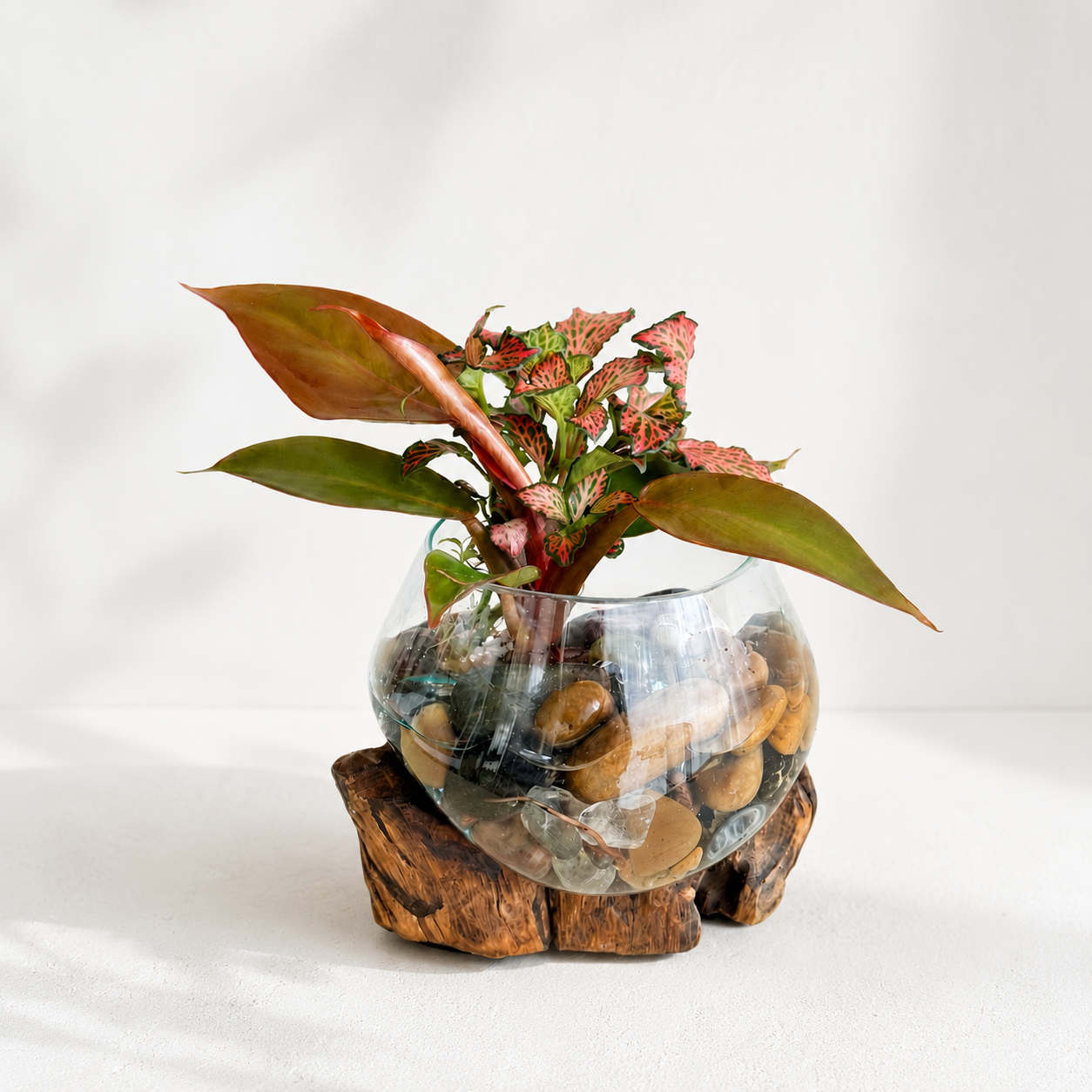 Made to Order Little Water Garden | Indoor Water Garden