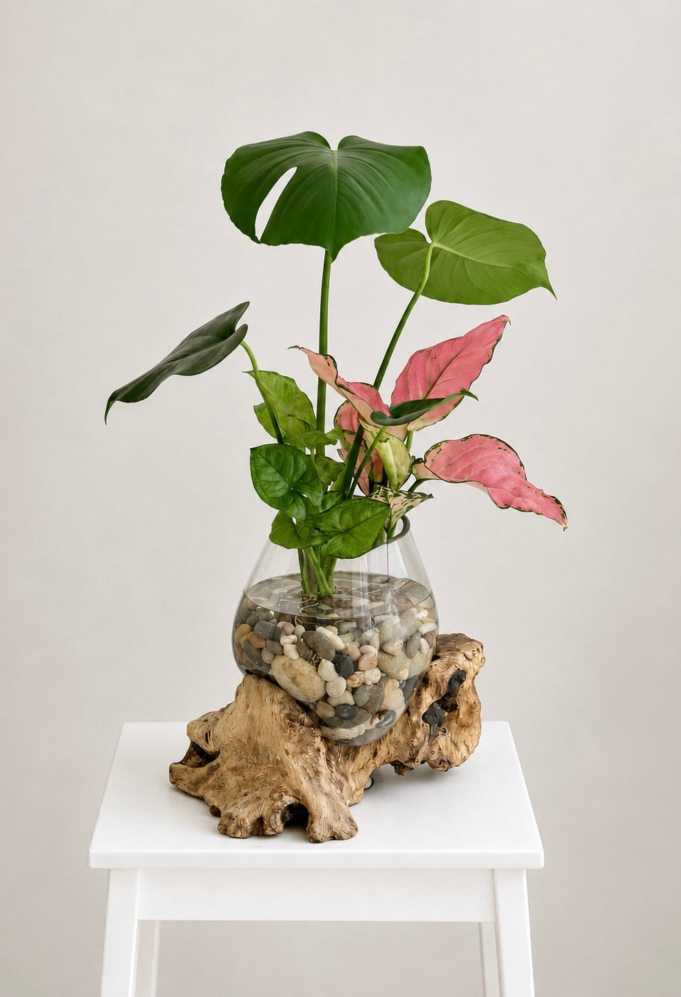 Made to Order Little Water Garden | Indoor Water Garden