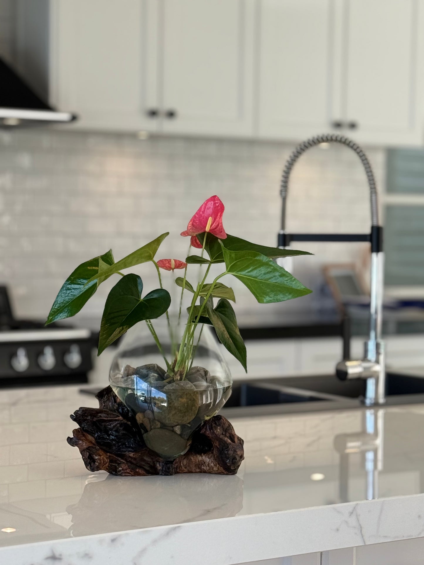 Made to Order Little Water Garden | Indoor Water Garden