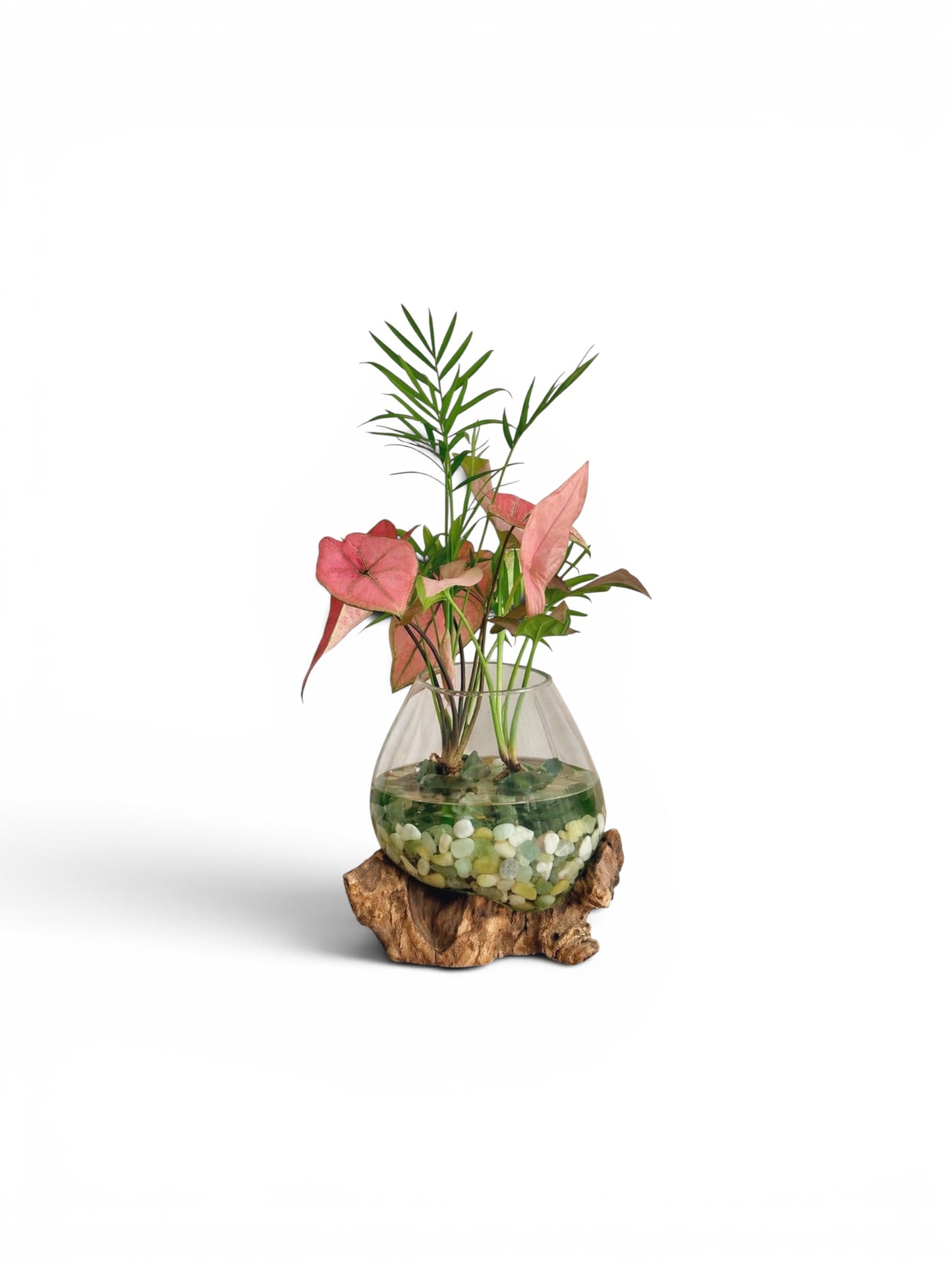 Little Water Garden - Small