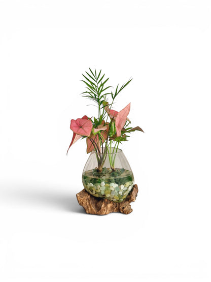 Little Water Garden - Small