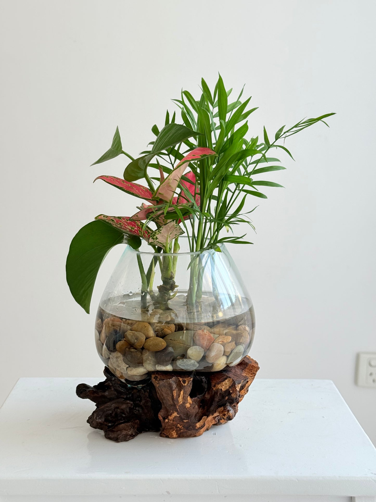 Made to Order Little Water Garden | Indoor Water Garden