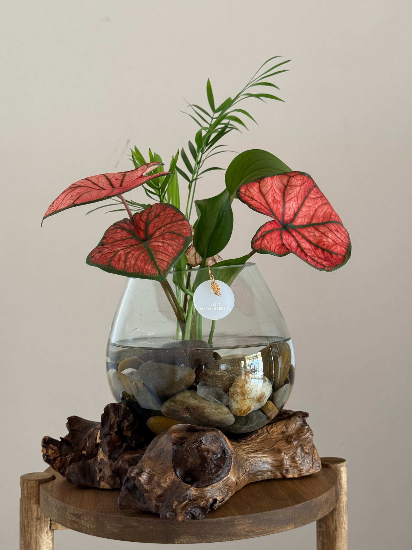 Made to Order Little Water Garden | Indoor Water Garden