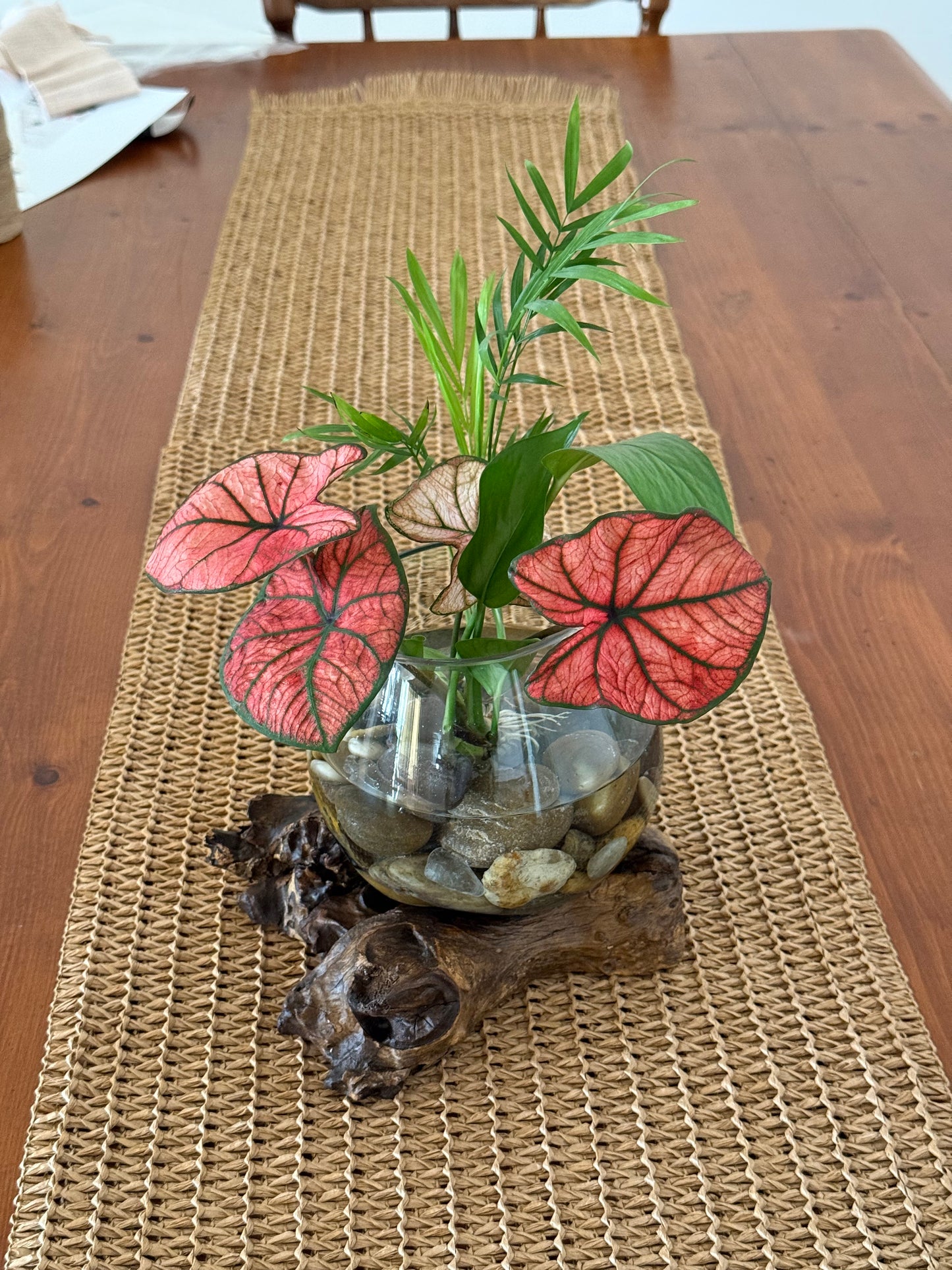 Little Water Garden - Small