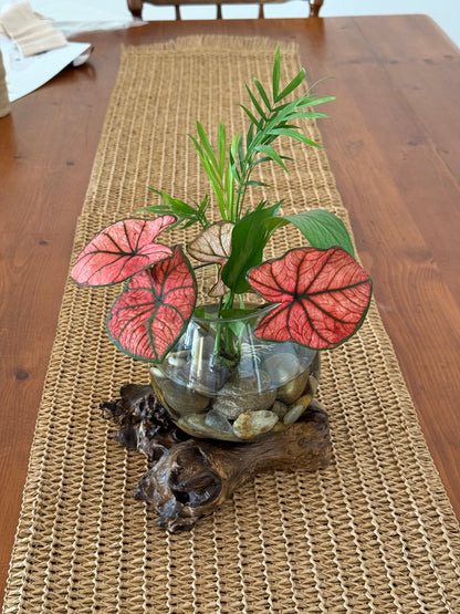 Little Water Garden - Small