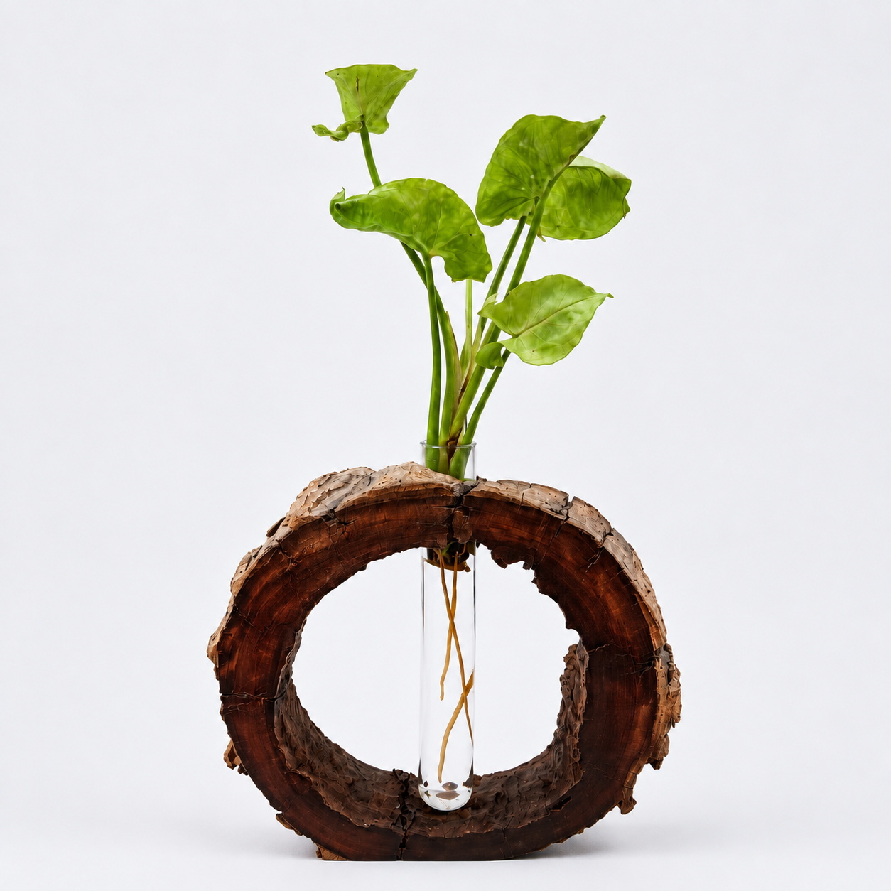 Natural Timber Planter