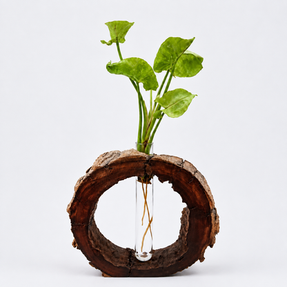 Natural Timber Planter