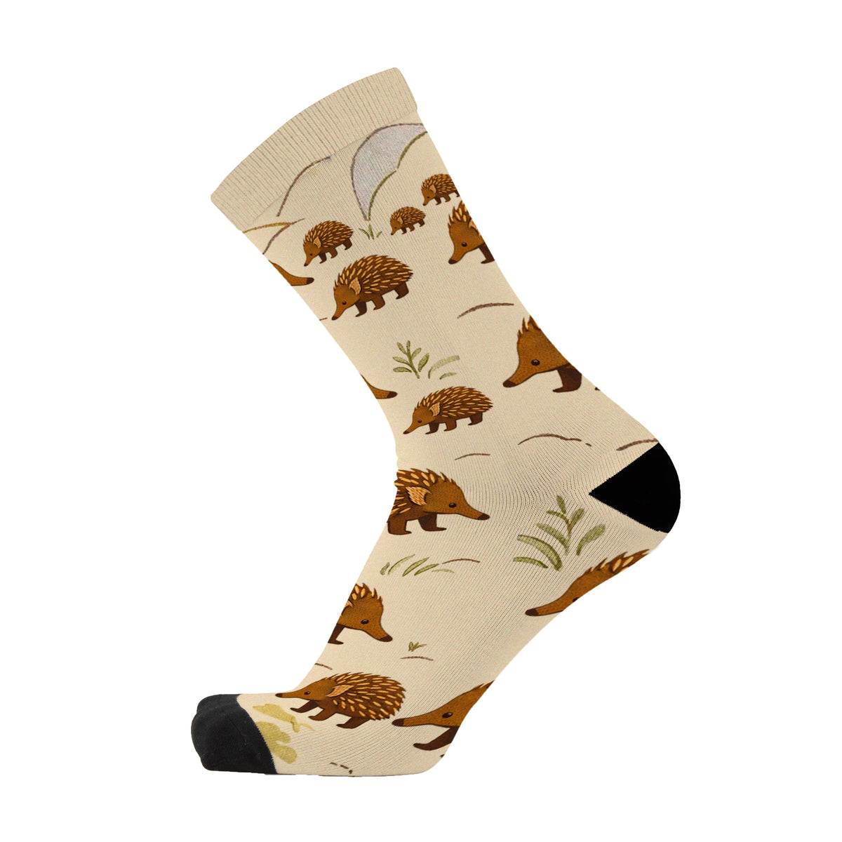 Colourful bamboo socks featuring Echidnas on a light brown background.