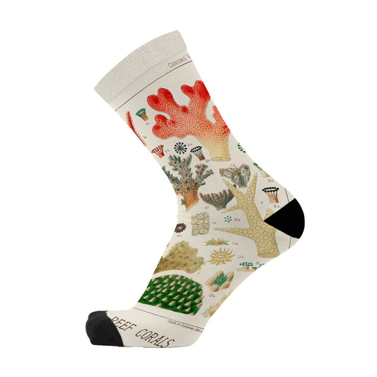 Colourful bamboo socks featuring coral from the Great Barrier Reef in Australia on a beige background.