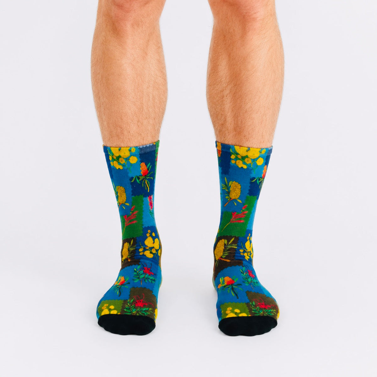 Colourful bamboo socks featuring wattle, banksia and kangaroo paw flower on a multicoloured background.