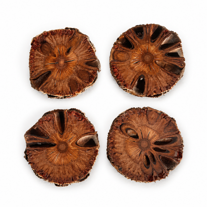 Banksia Coasters