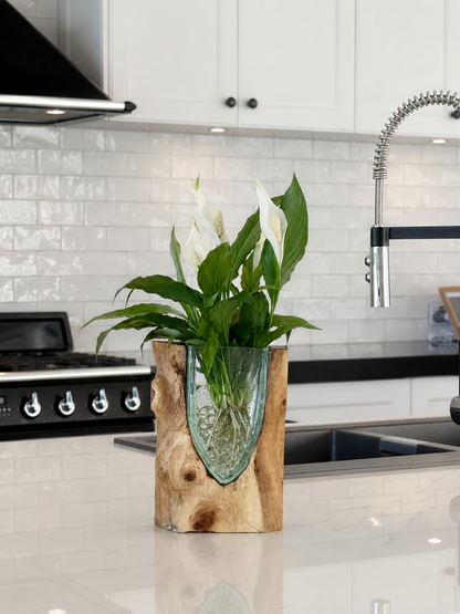 Made to Order Little Water Garden | Indoor Water Garden