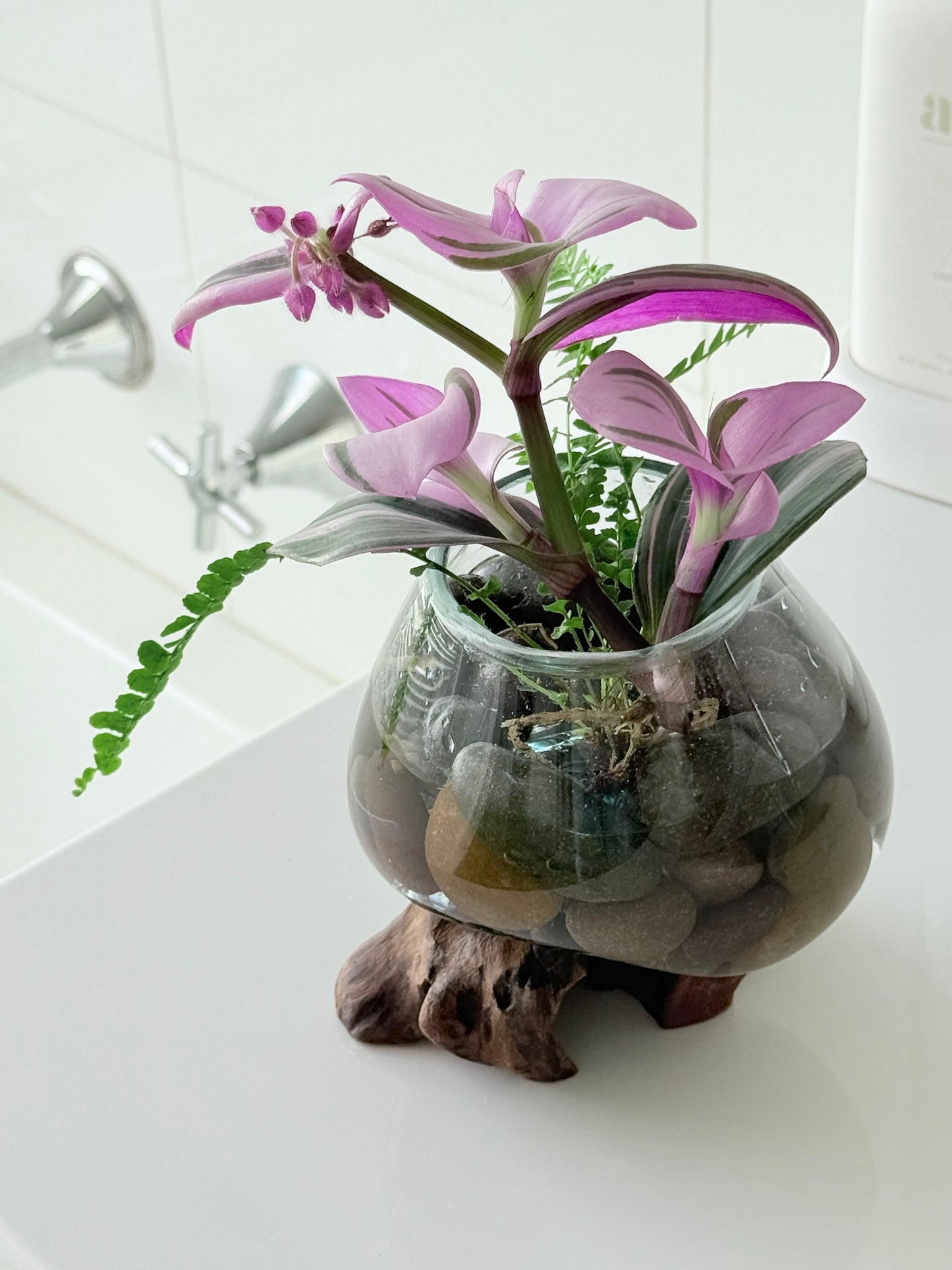 Made to Order Little Water Garden | Indoor Water Garden