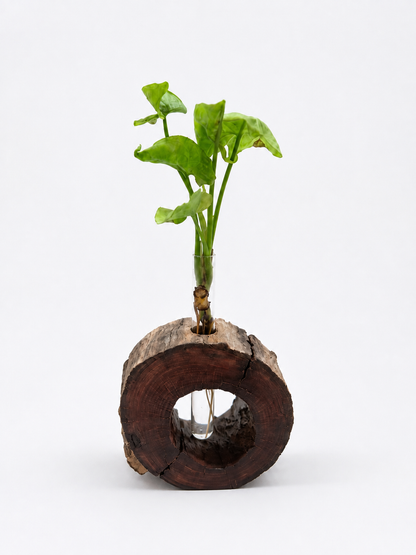 Natural Timber Planter