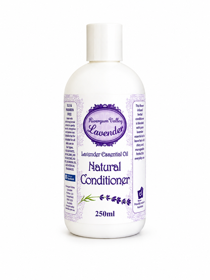 Lavender Shampoo & Conditioner