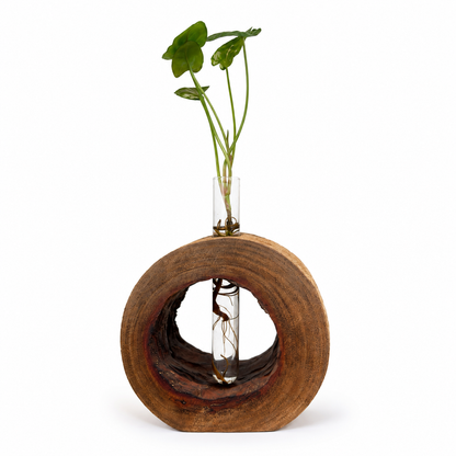Natural Timber Planter