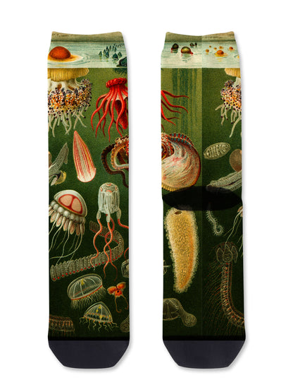 Tentacle Spectacle