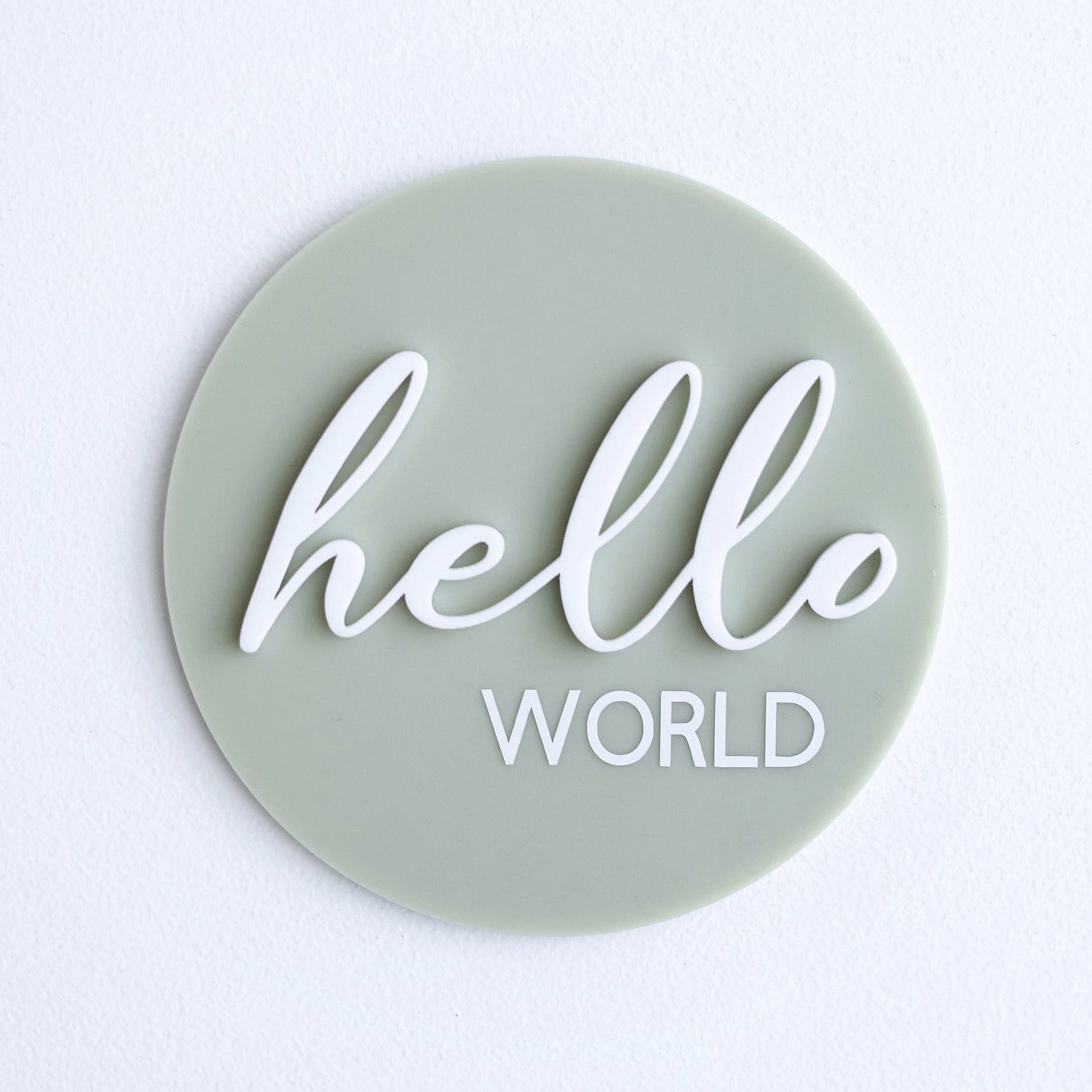 Ollie and Ech- Hello World Sage Announcement Disc