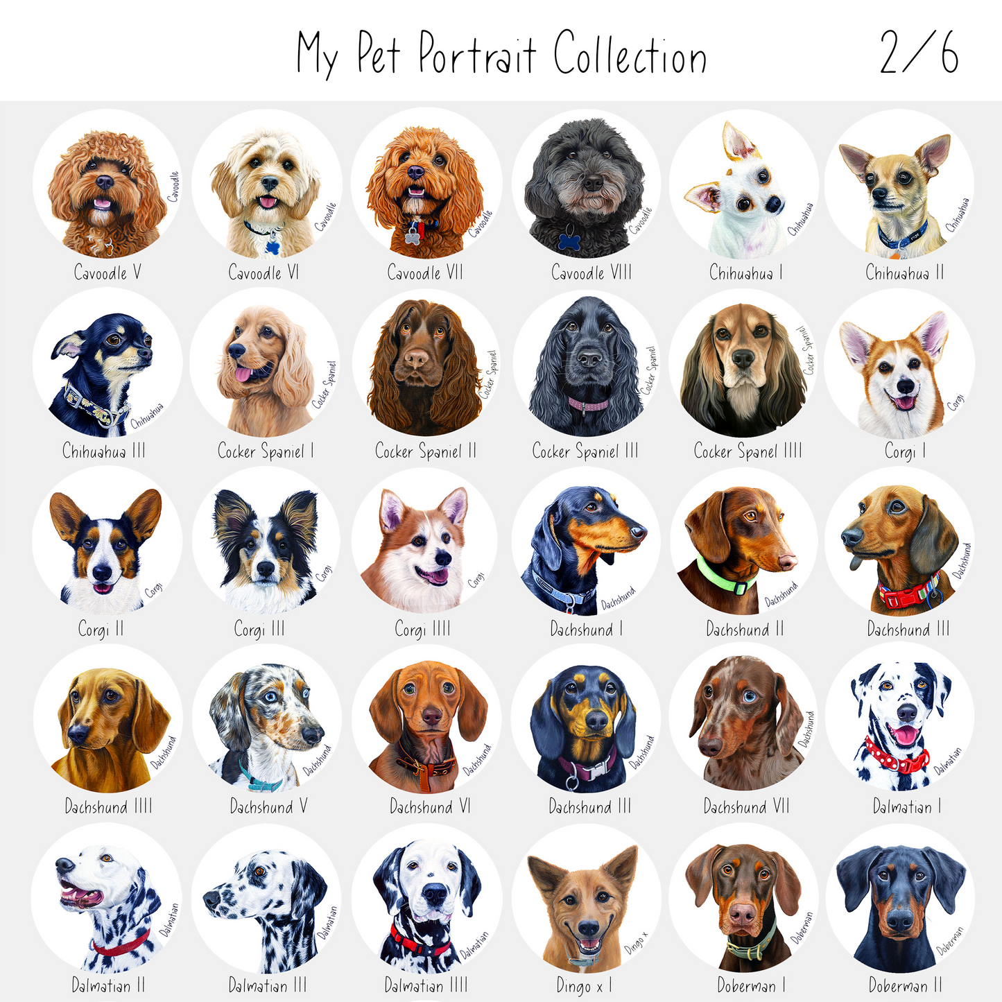 Pet Ceramic Coasters